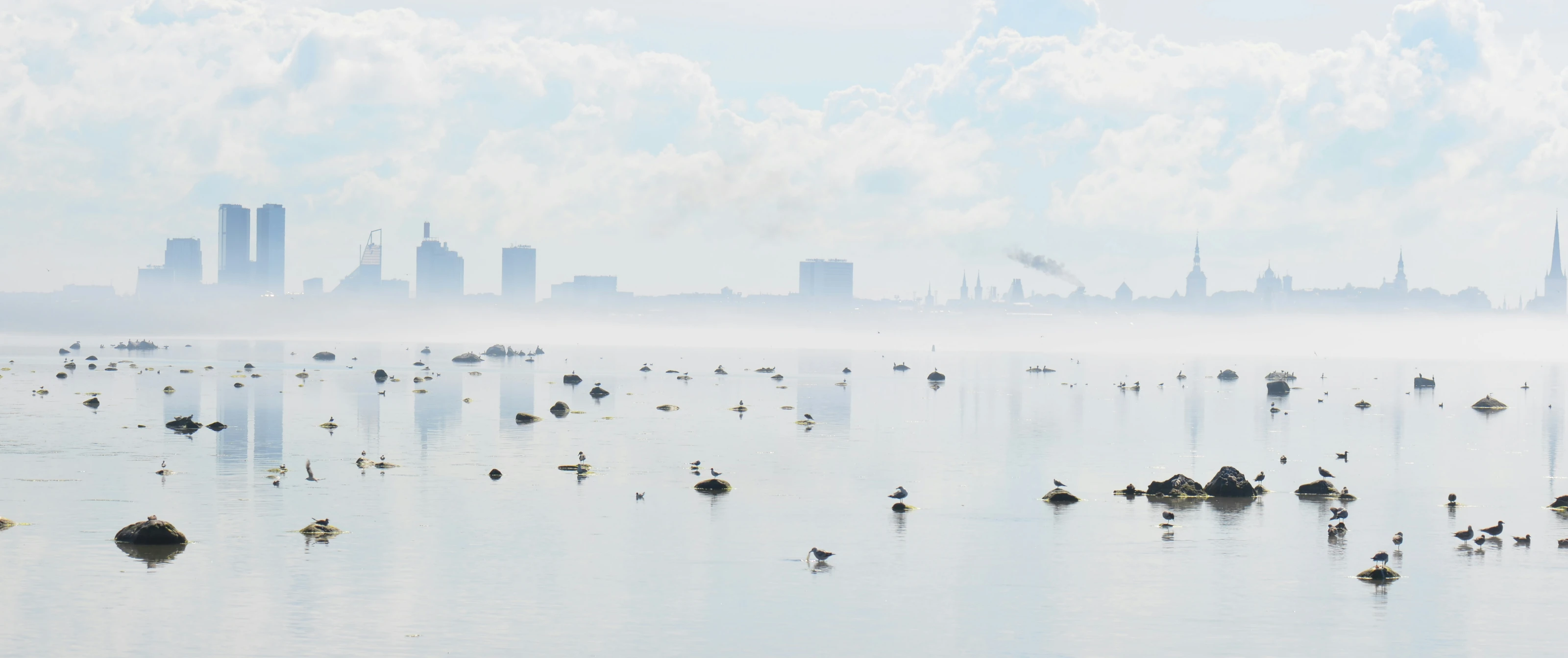 Tallinn skyline across the water from Pirita